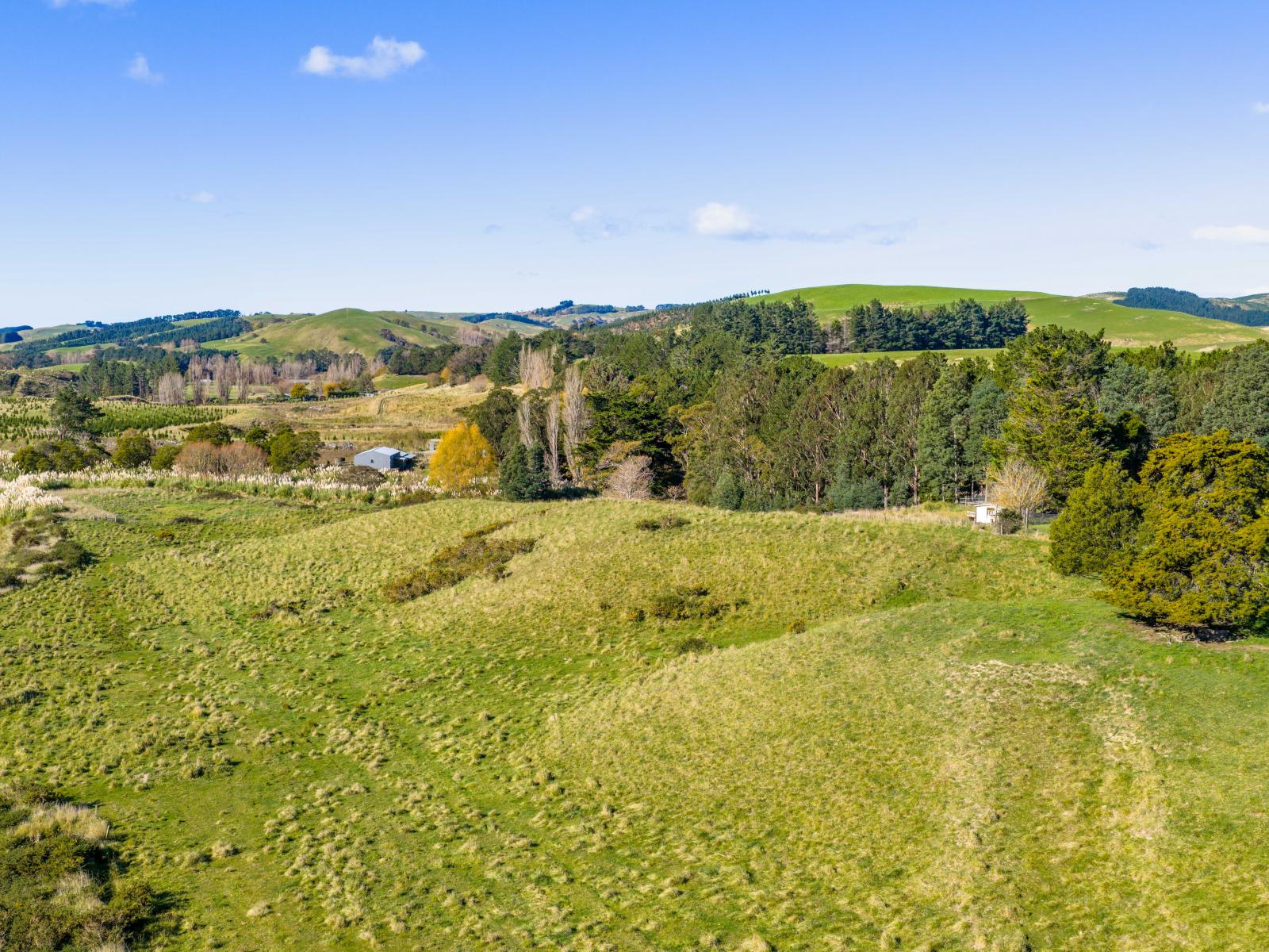 254 Wilder Road, Porangahau