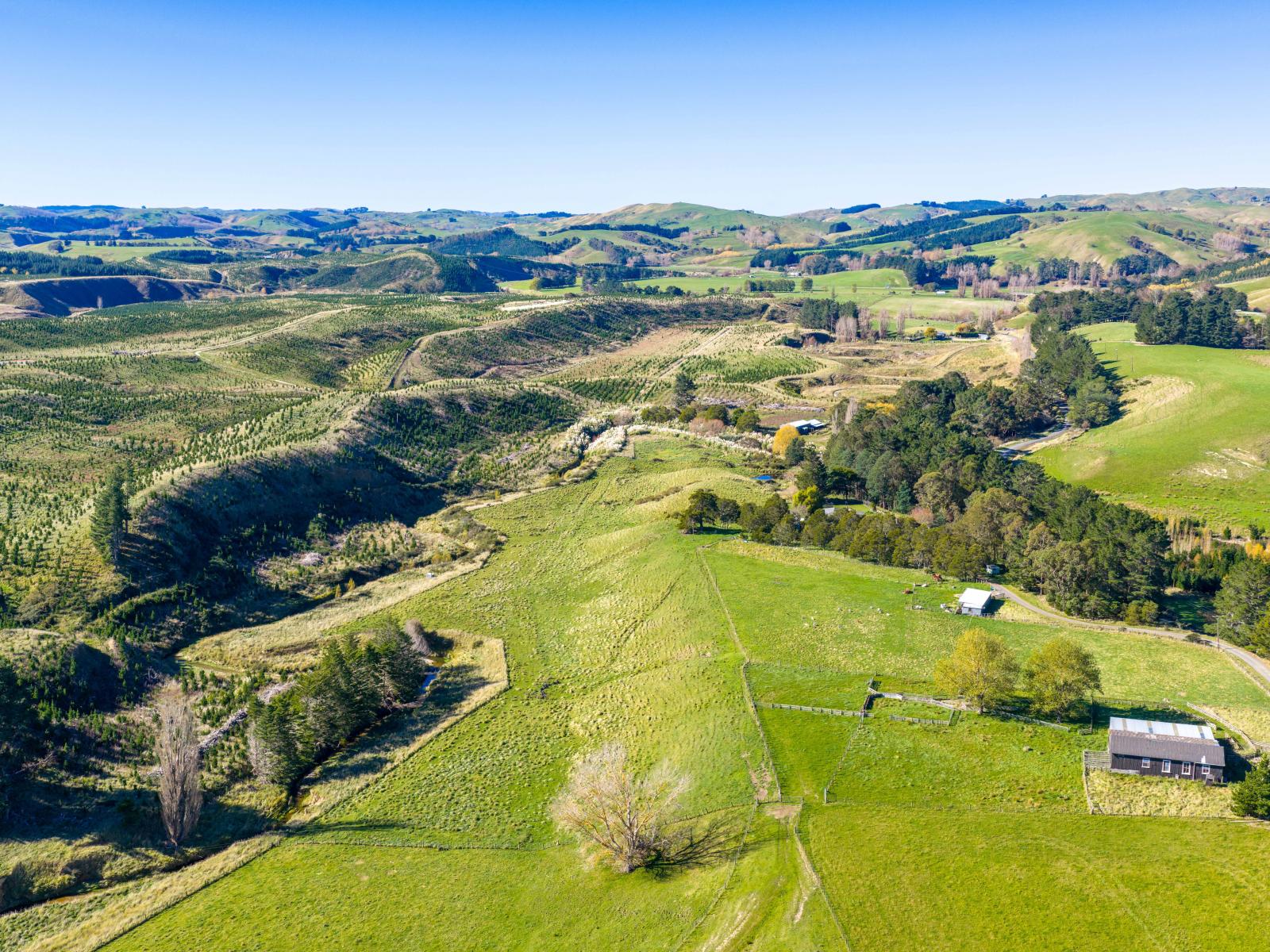 254 Wilder Road, Porangahau
