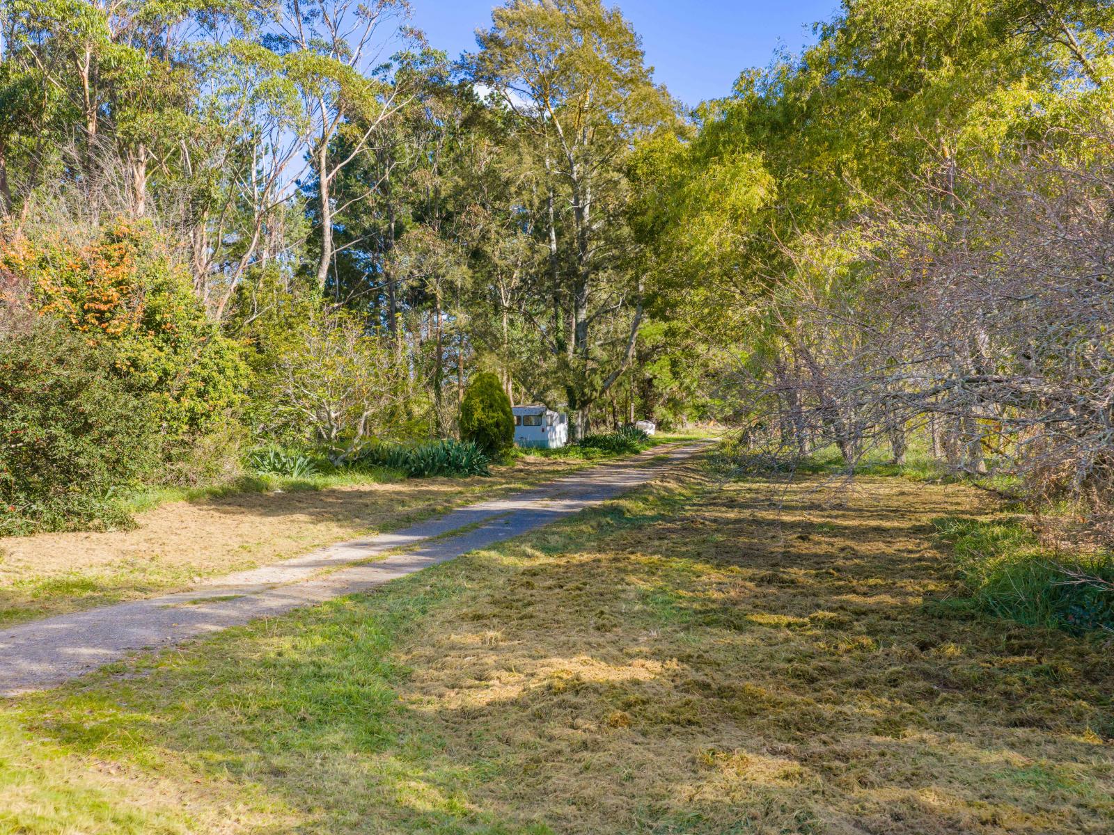 254 Wilder Road, Porangahau
