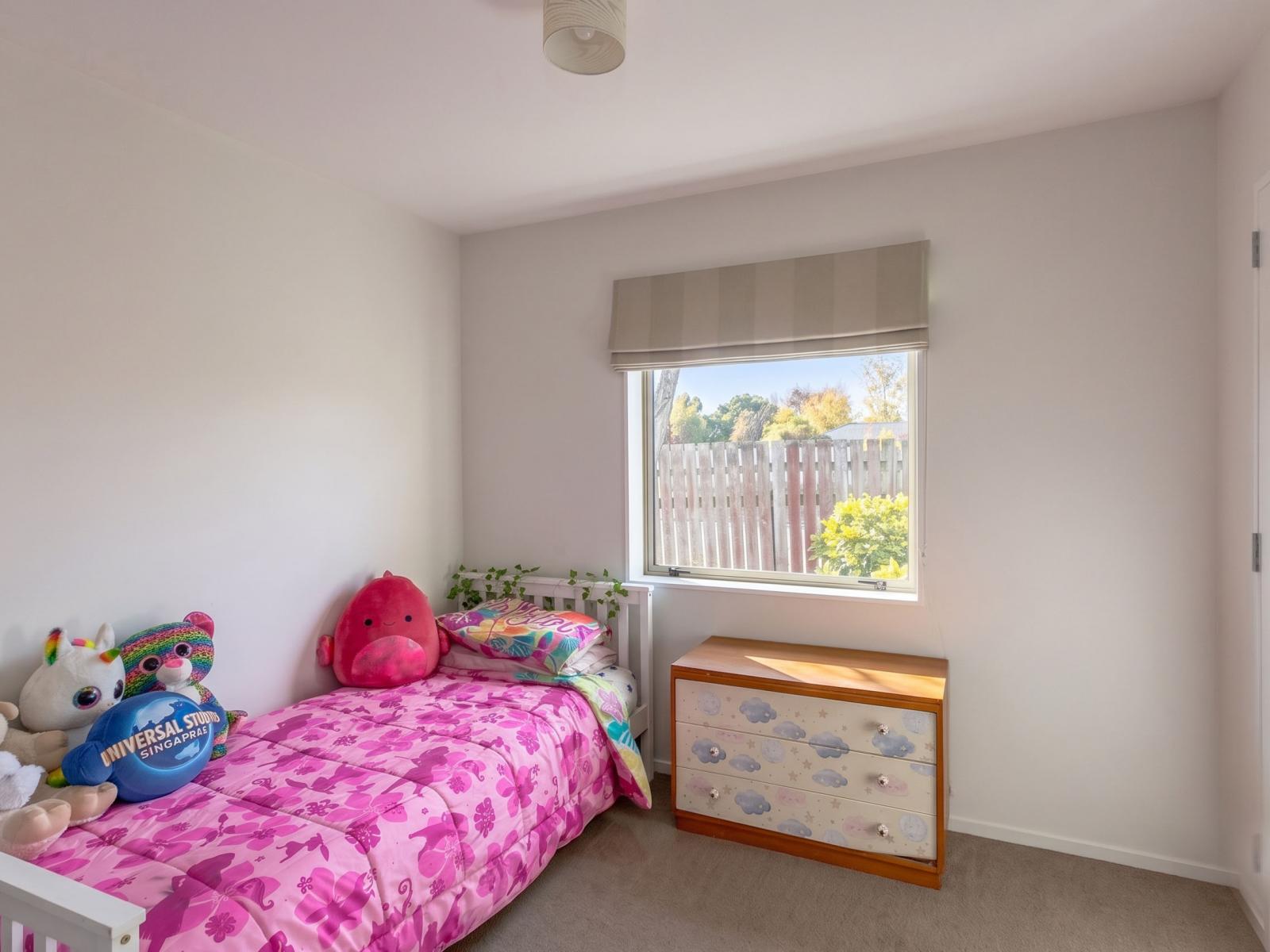 19 Nash Place, Masterton