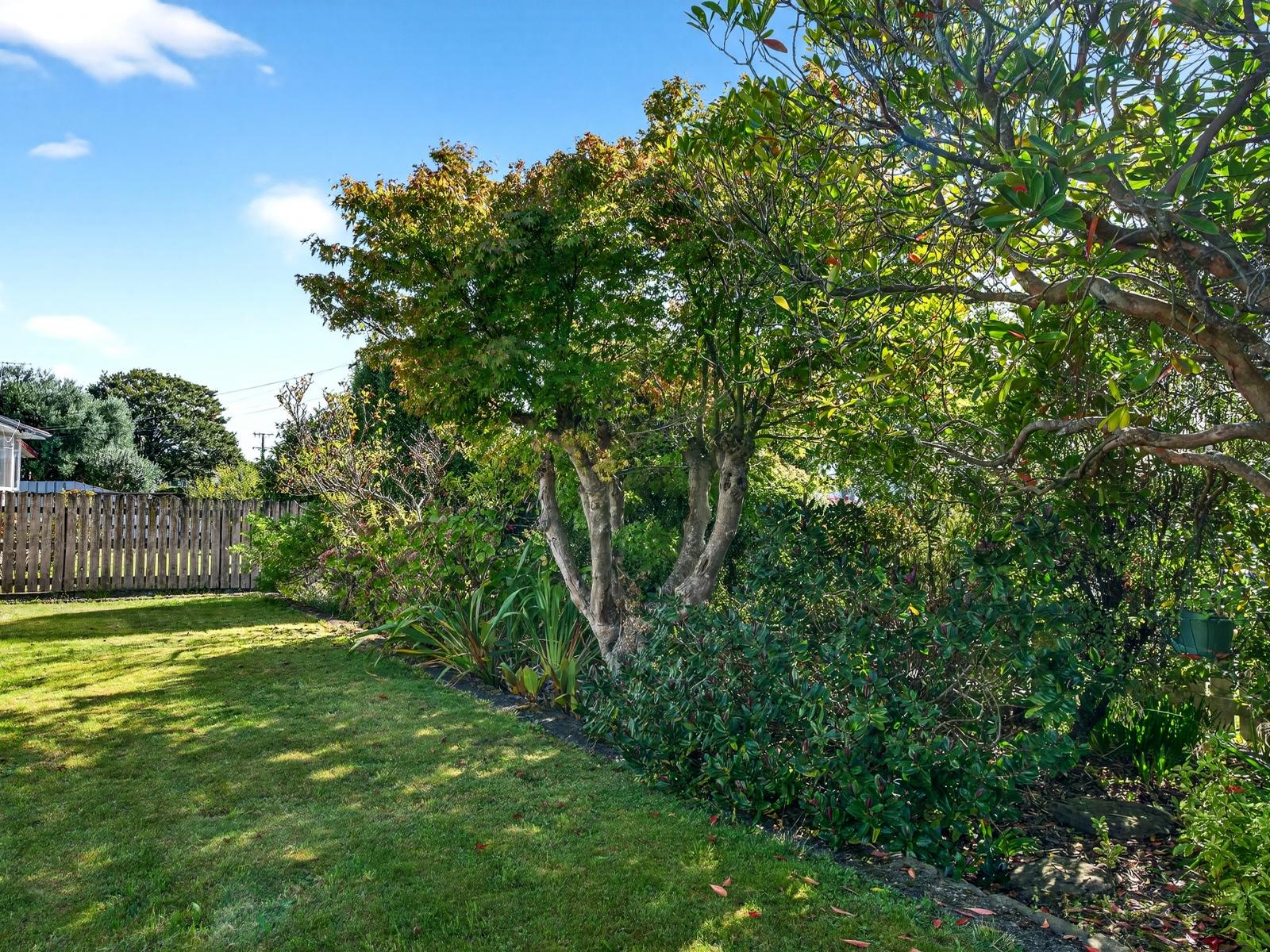 15 Margaret Street, Masterton