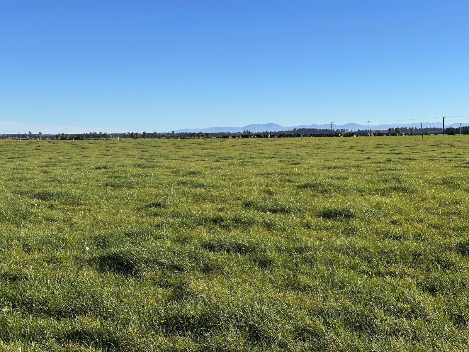 Rakaia Terrace Road, Te Pirita