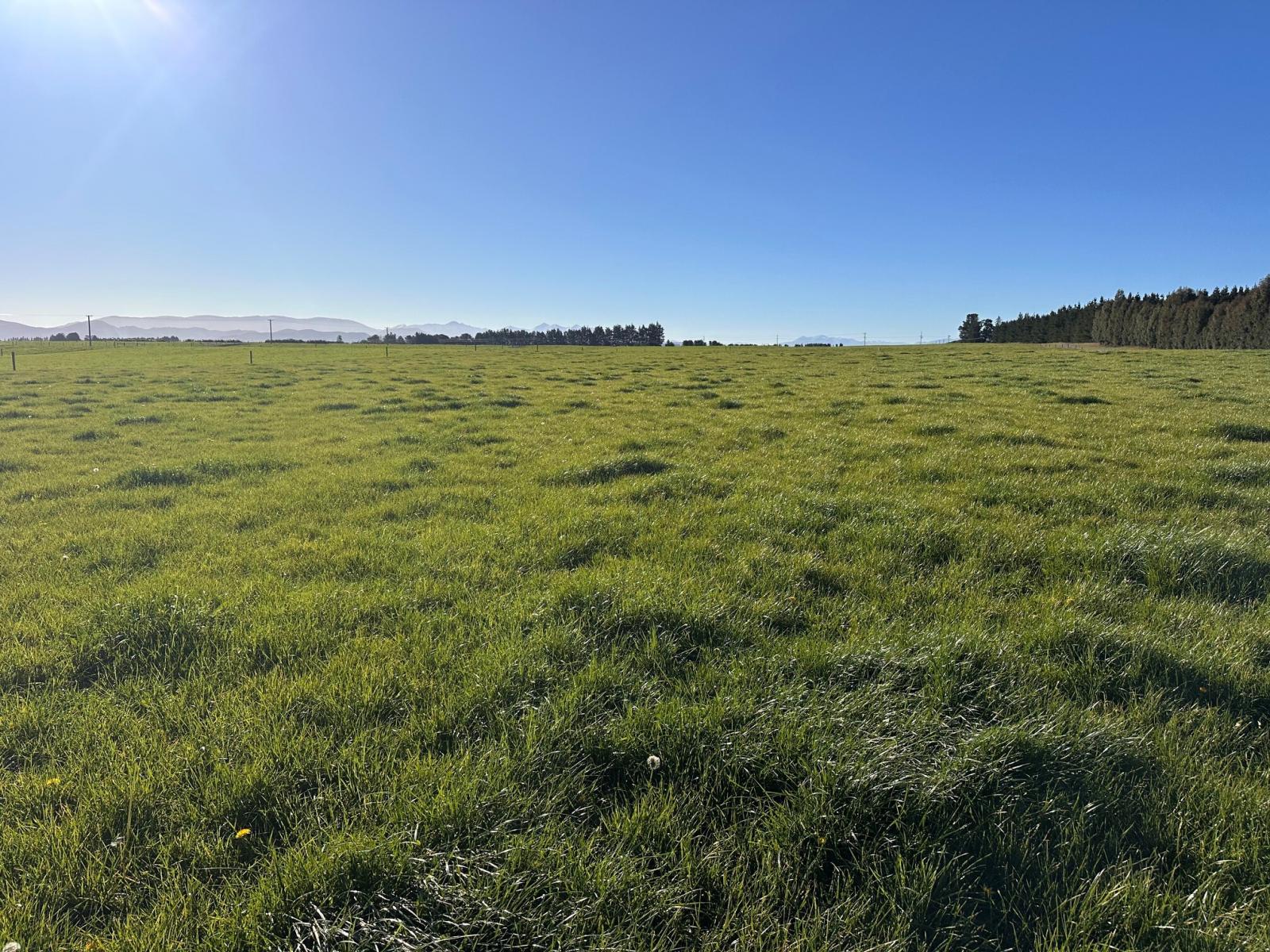 Rakaia Terrace Road, Te Pirita