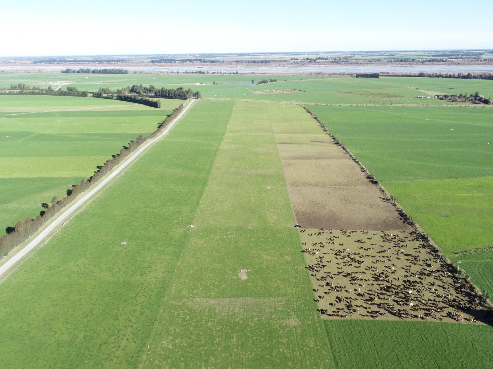 Rakaia Terrace Road, Te Pirita