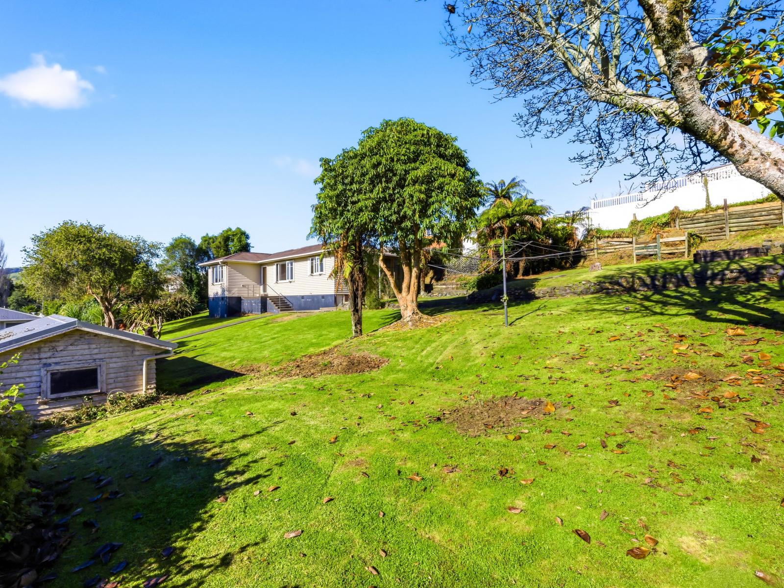 16 Tarrangower Avenue, Taumarunui