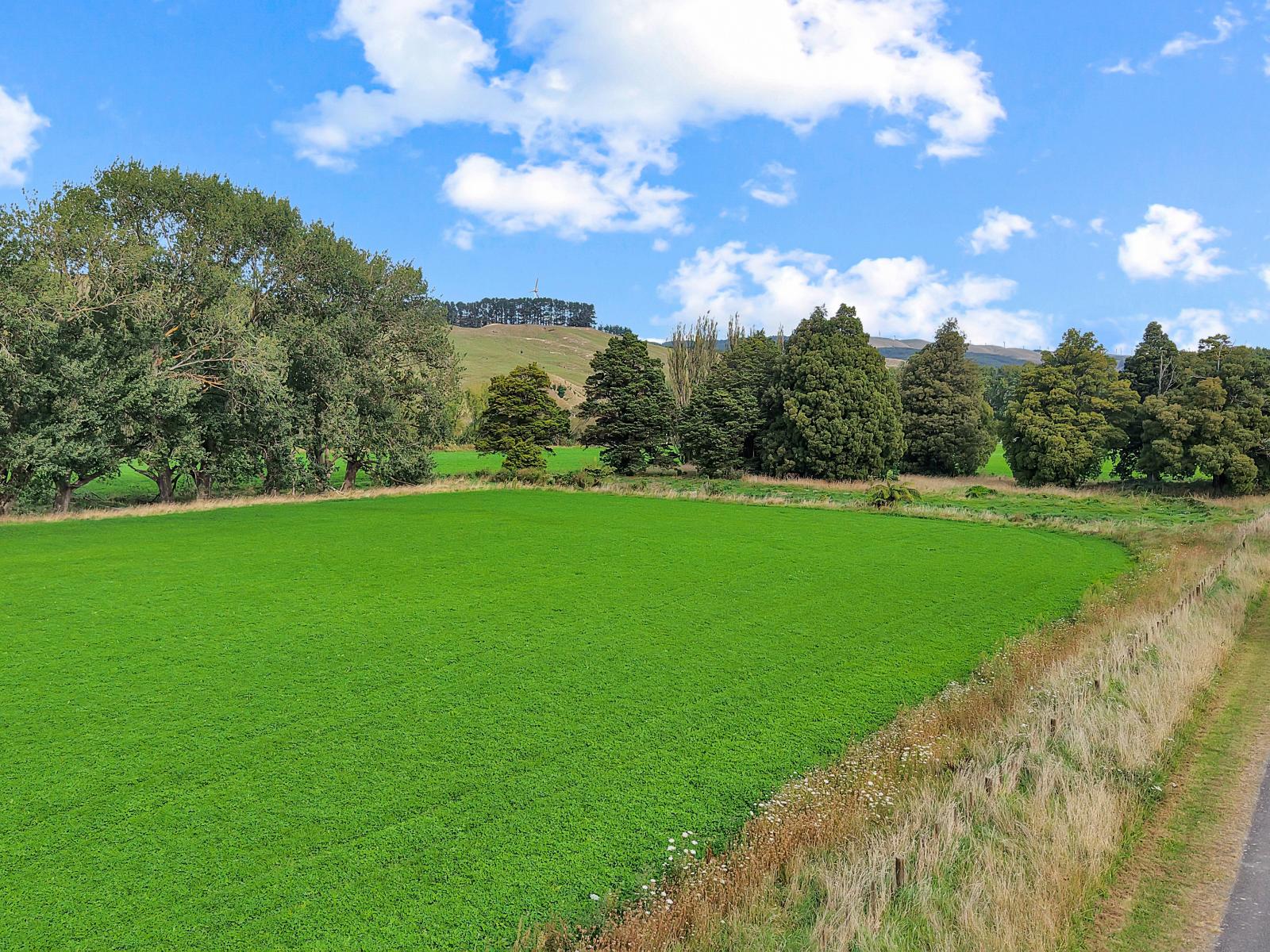 19 River Road, Ashhurst