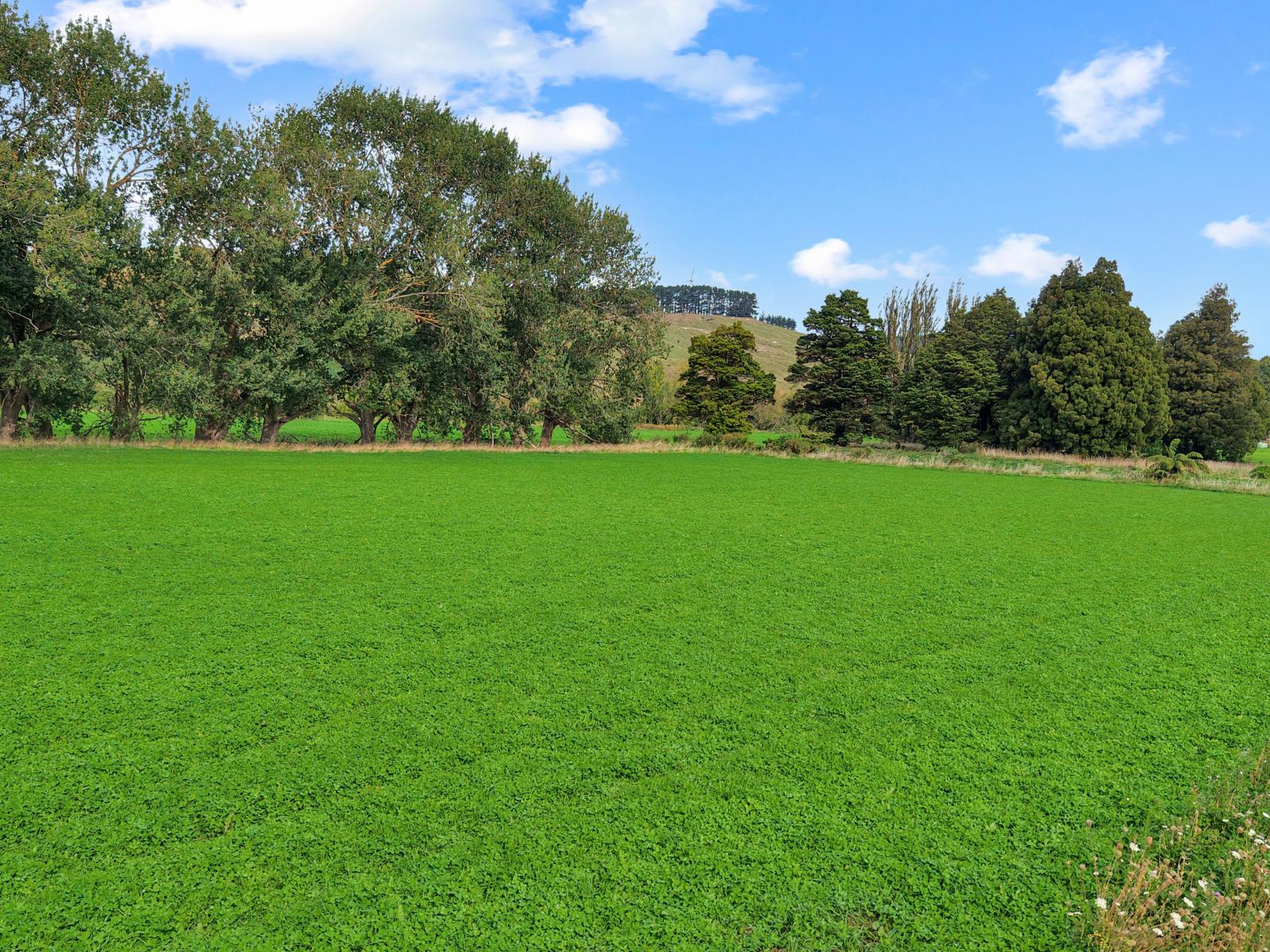 19 River Road, Ashhurst