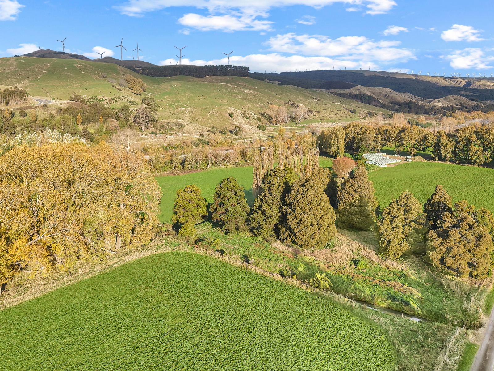 19 River Road, Ashhurst