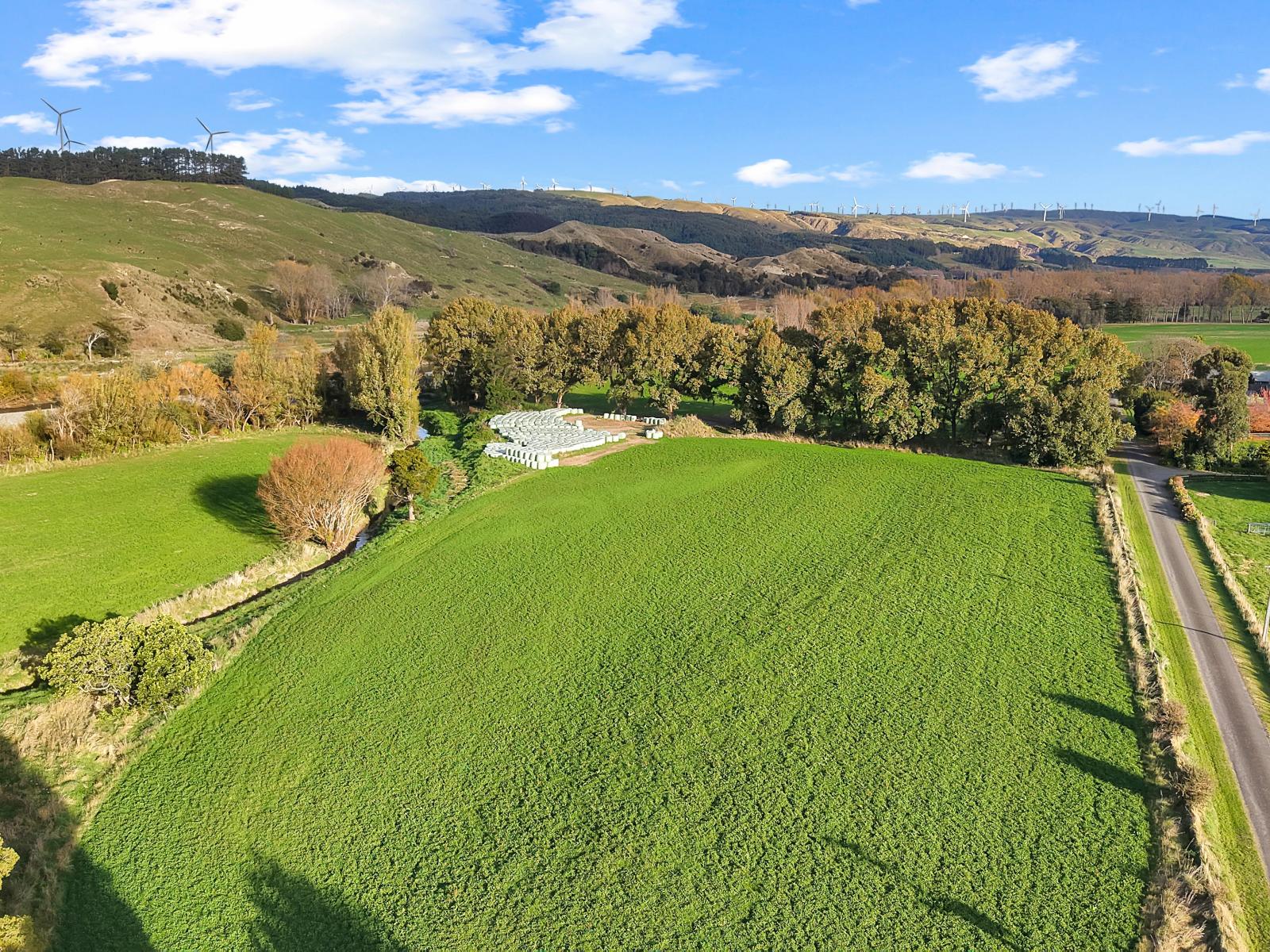 19 River Road, Ashhurst