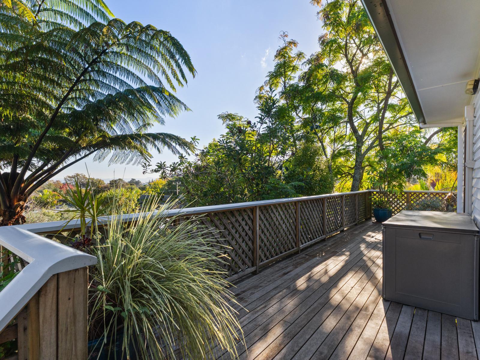 51 Darwin Road, Outer Kaiti