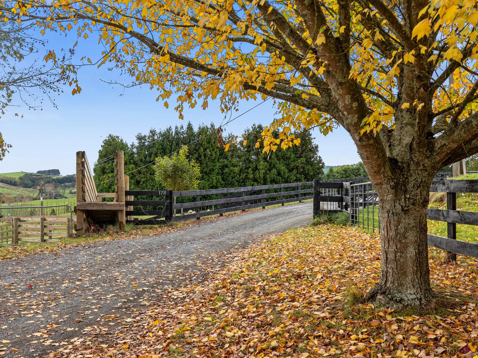 178 Whitehall Road, Karapiro