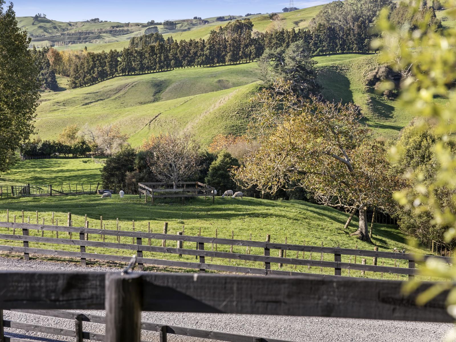 178 Whitehall Road, Karapiro