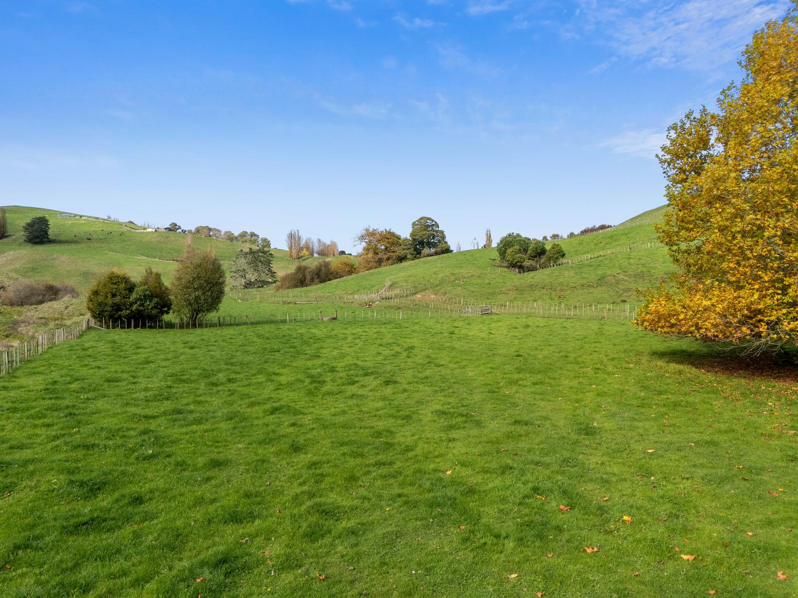 178 Whitehall Road, Karapiro
