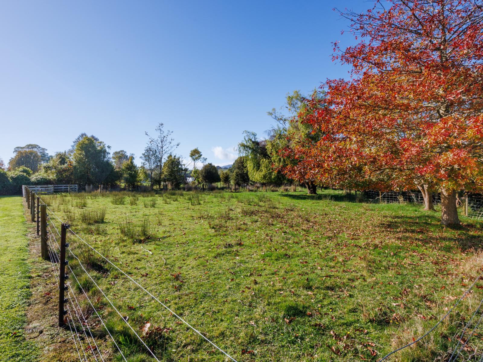 139 Awahou South Road, Ashhurst