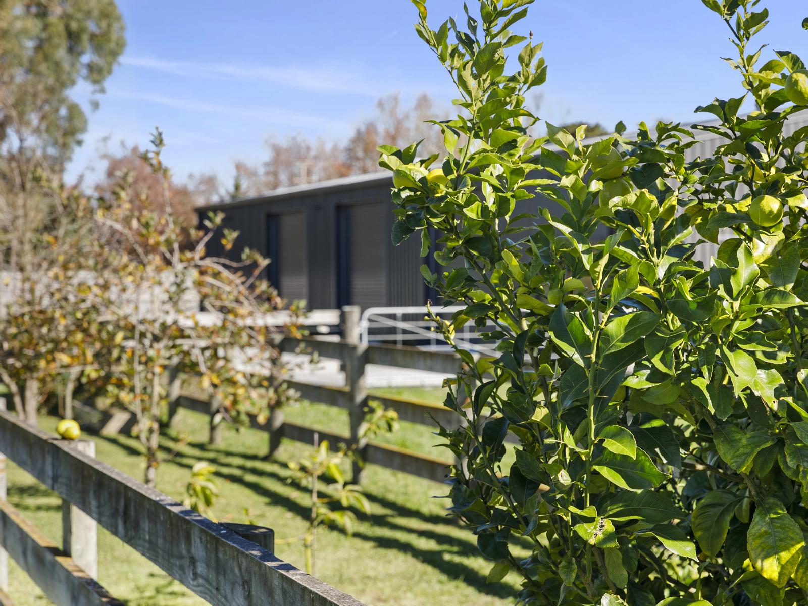 10 Kuranui Road, Morrinsville