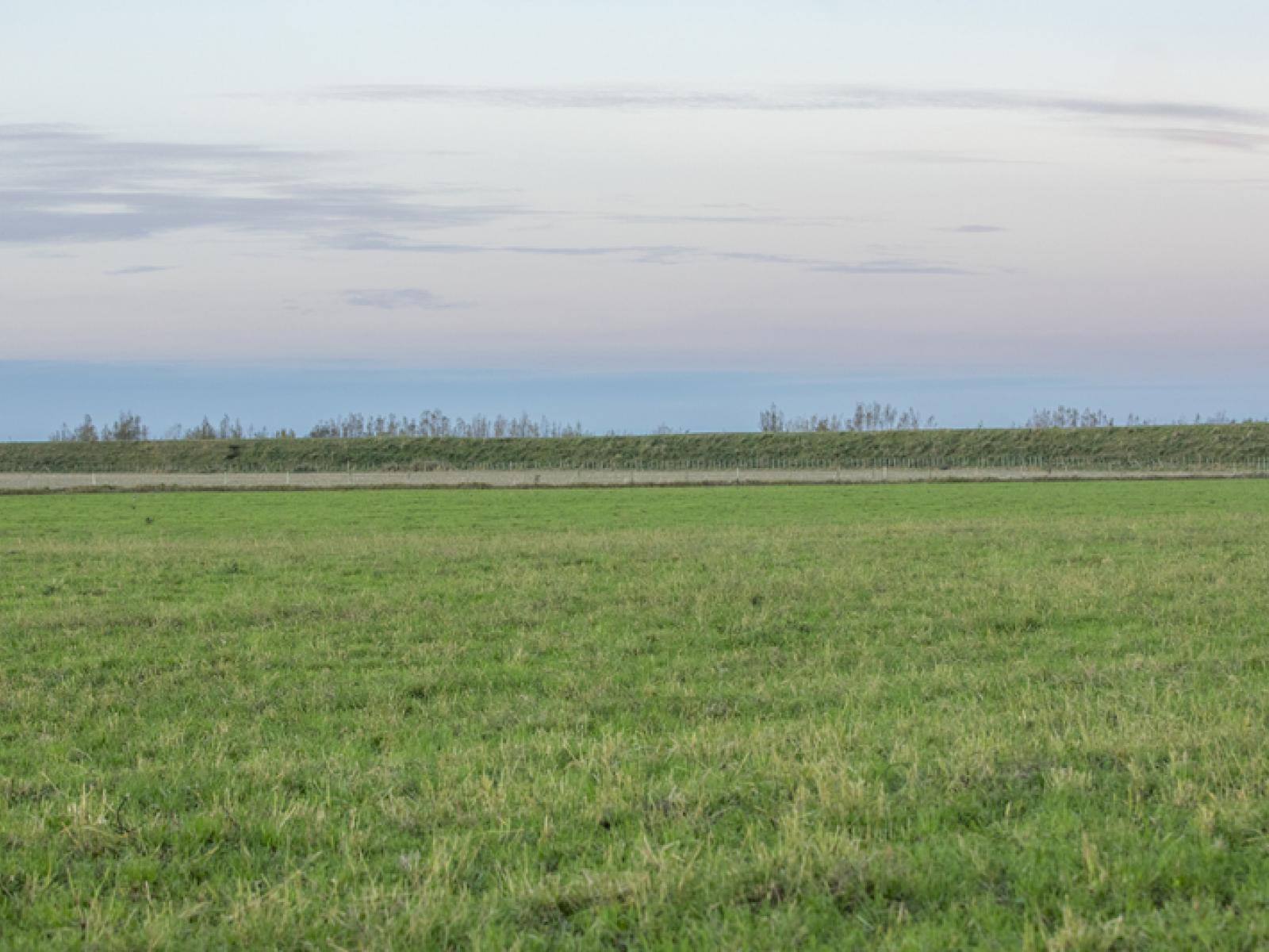 Lot 3,4,5,6, Kaimatarau Road, Rongotea
