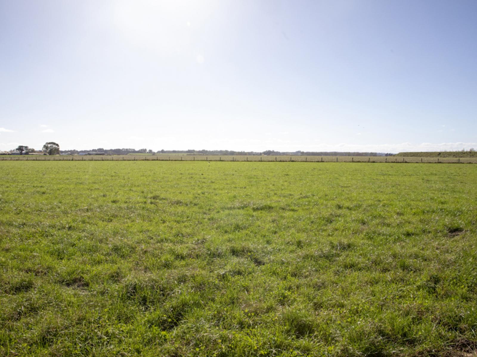 Lot 3,4,5,6, Kaimatarau Road, Rongotea