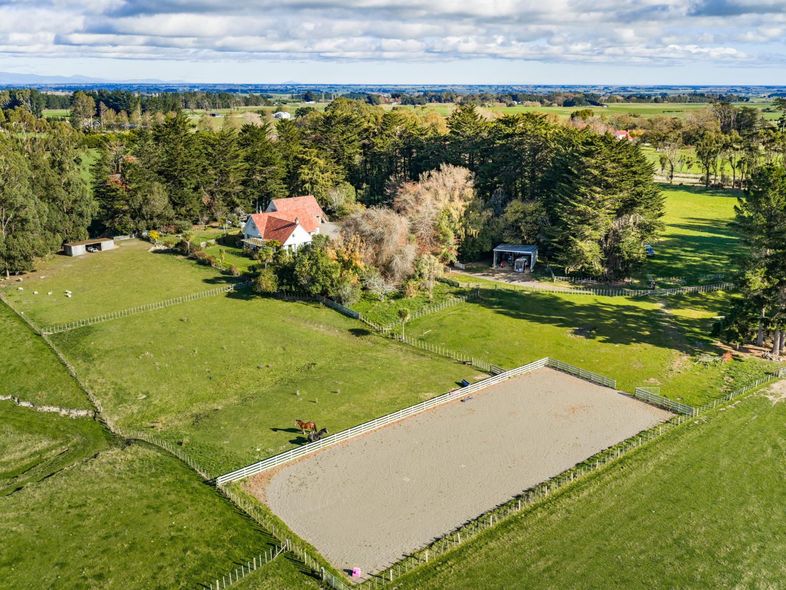 768 Mount Stewart Halcombe Road, Halcombe