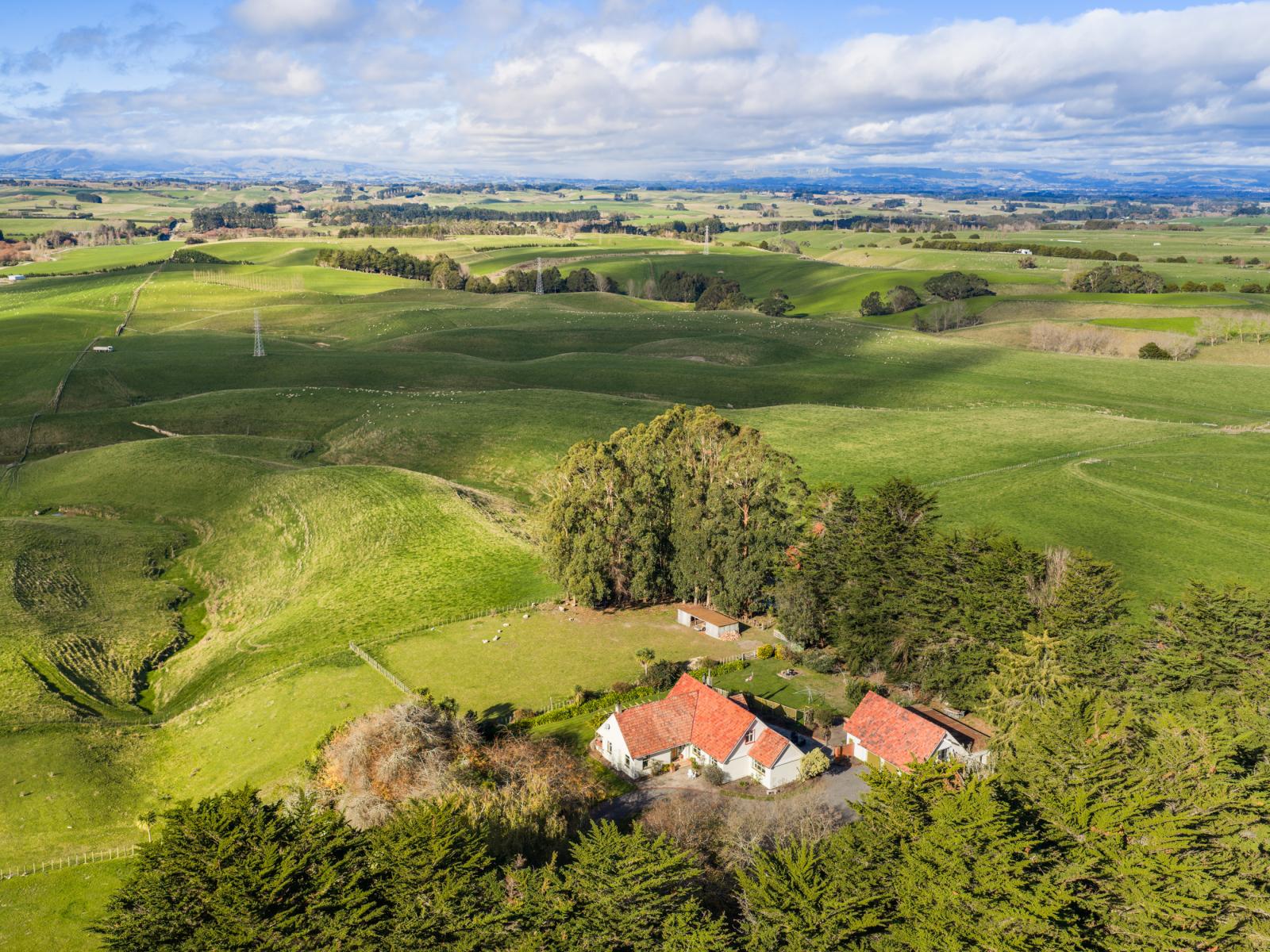 768 Mount Stewart Halcombe Road, Halcombe