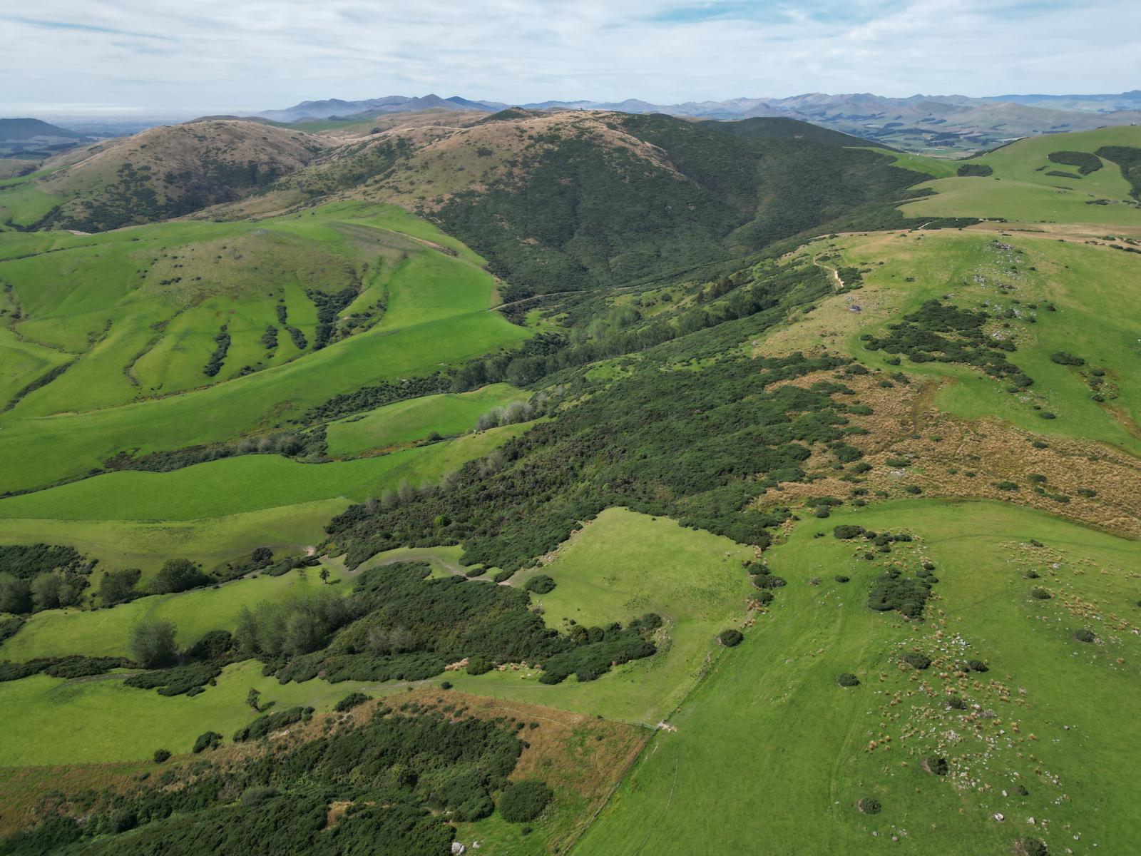 124 Strathearn Road, Wairuna