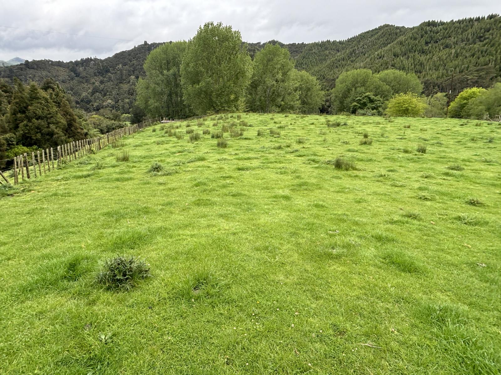 Taumarunui