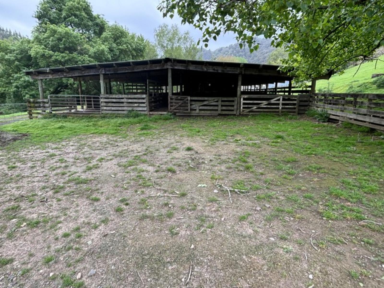 Taumarunui