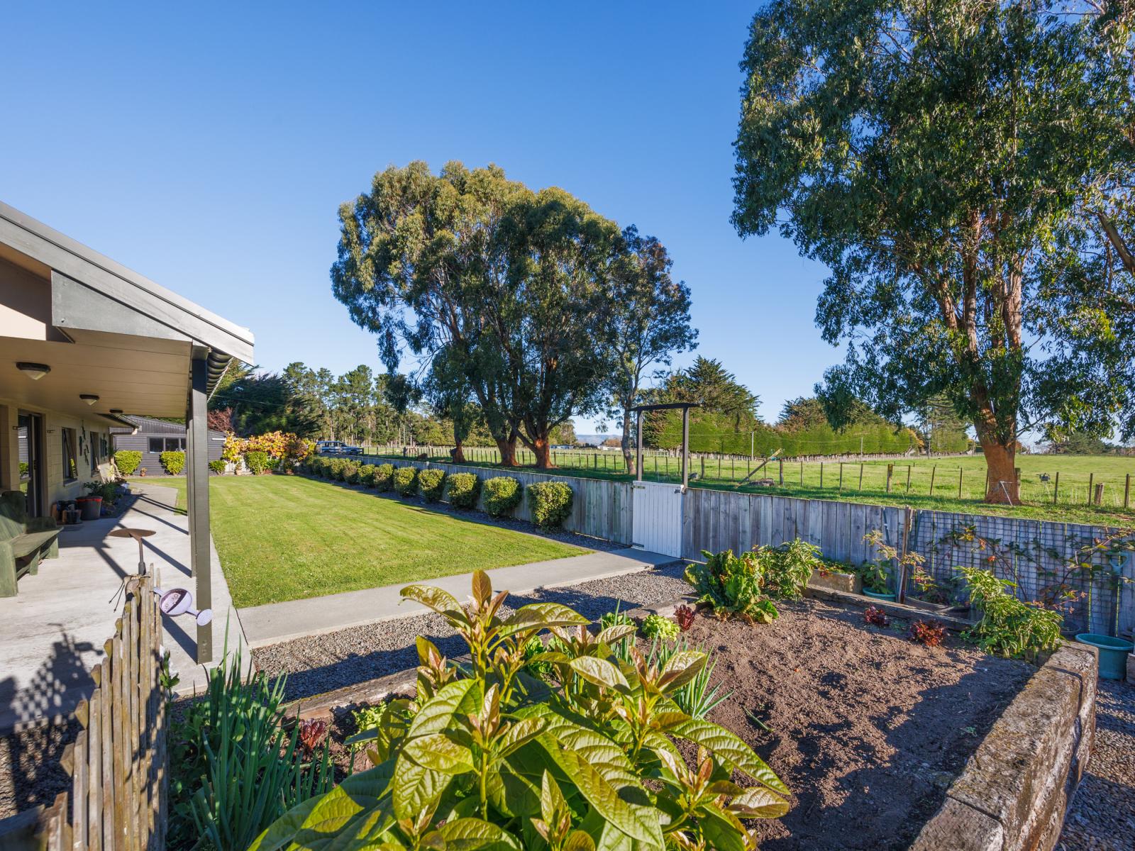 34 Hazelhurst Line, Kelvin Grove