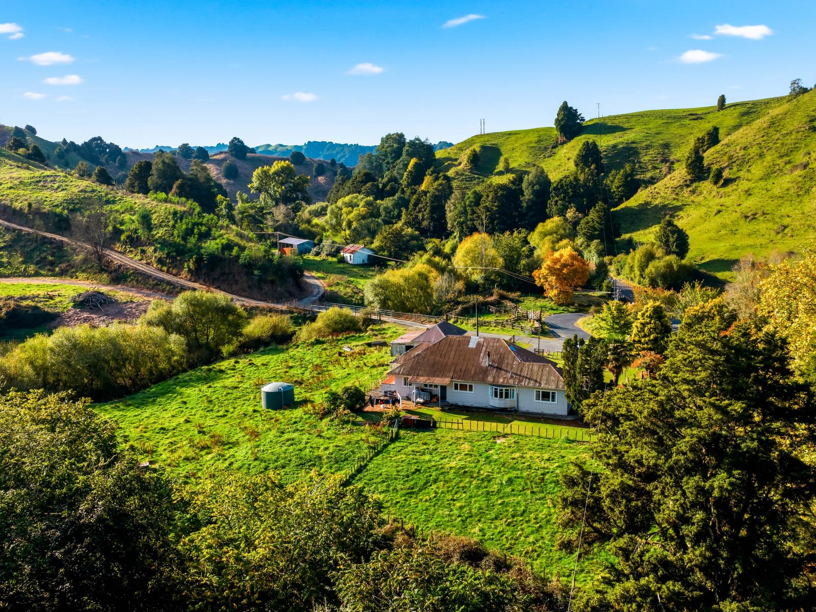 1190 Ohura Road, Matiere