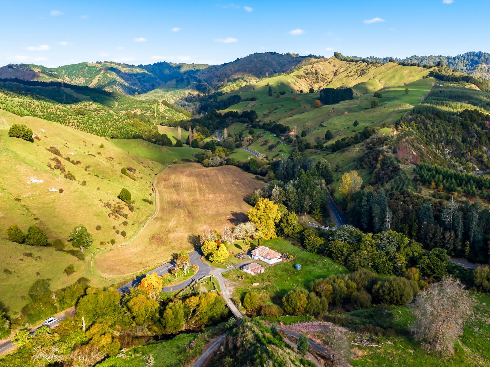 1190 Ohura Road, Matiere