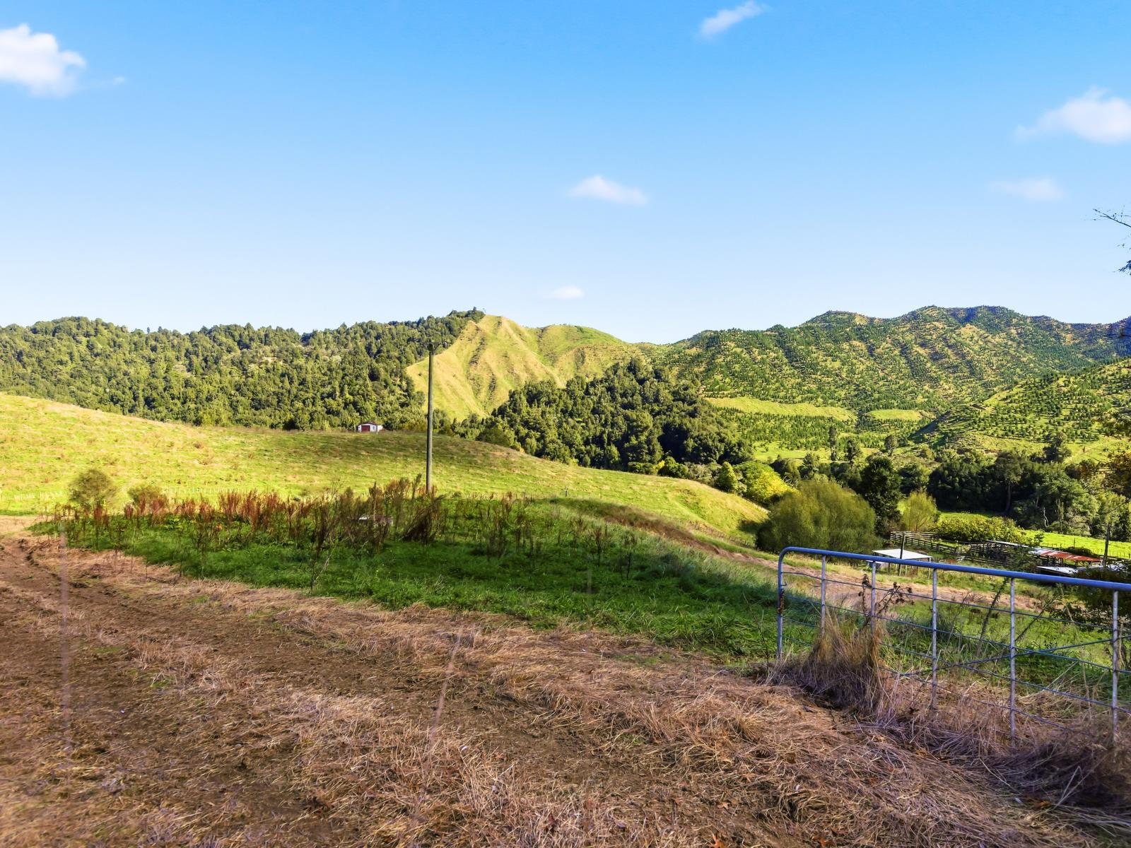 1041 Paparoa Road, Taumarunui