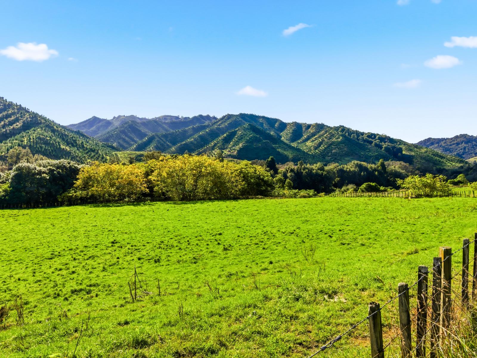 1041 Paparoa Road, Taumarunui