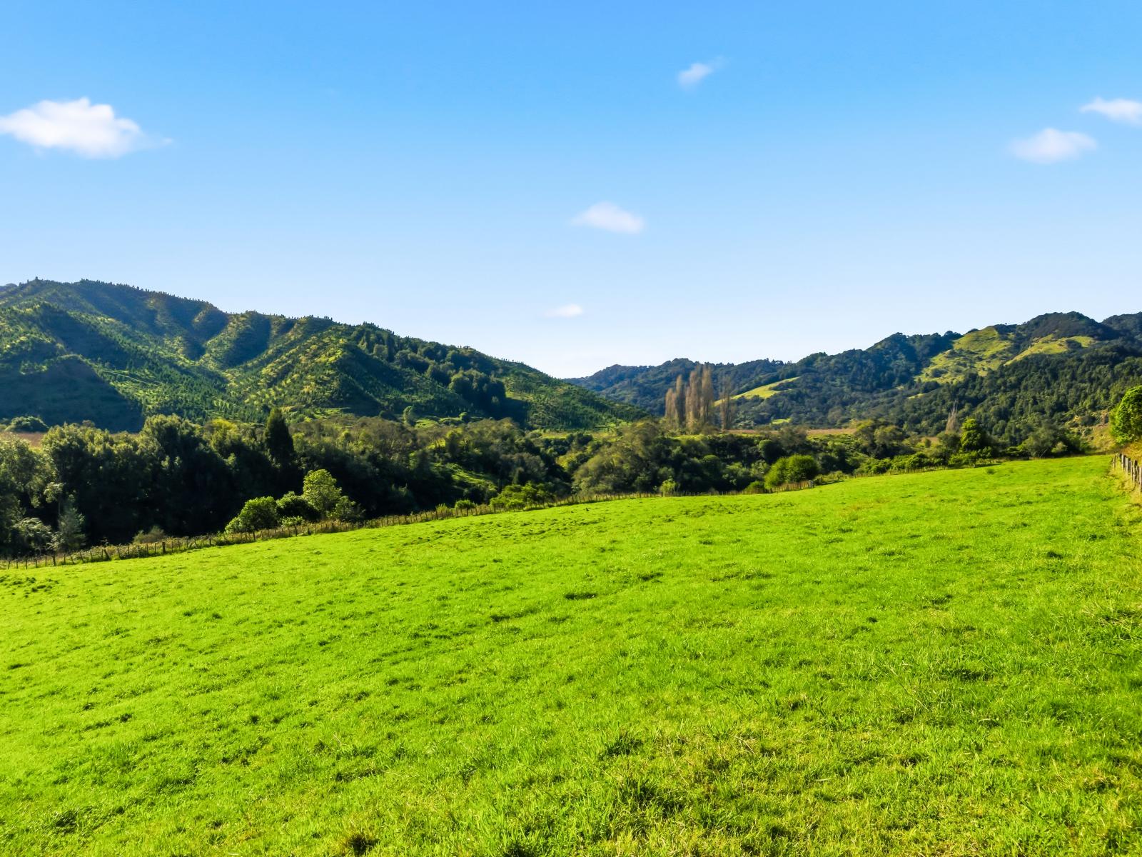 1041 Paparoa Road, Taumarunui