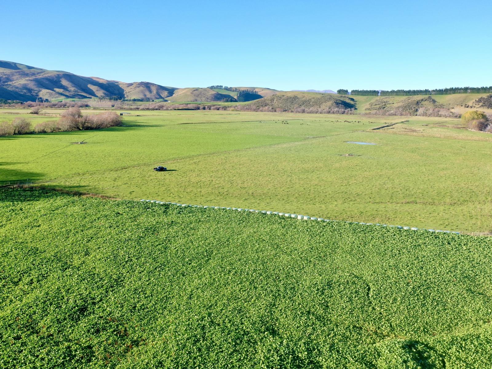 840 Ardlussa Cattleflat Road, Ardlussa