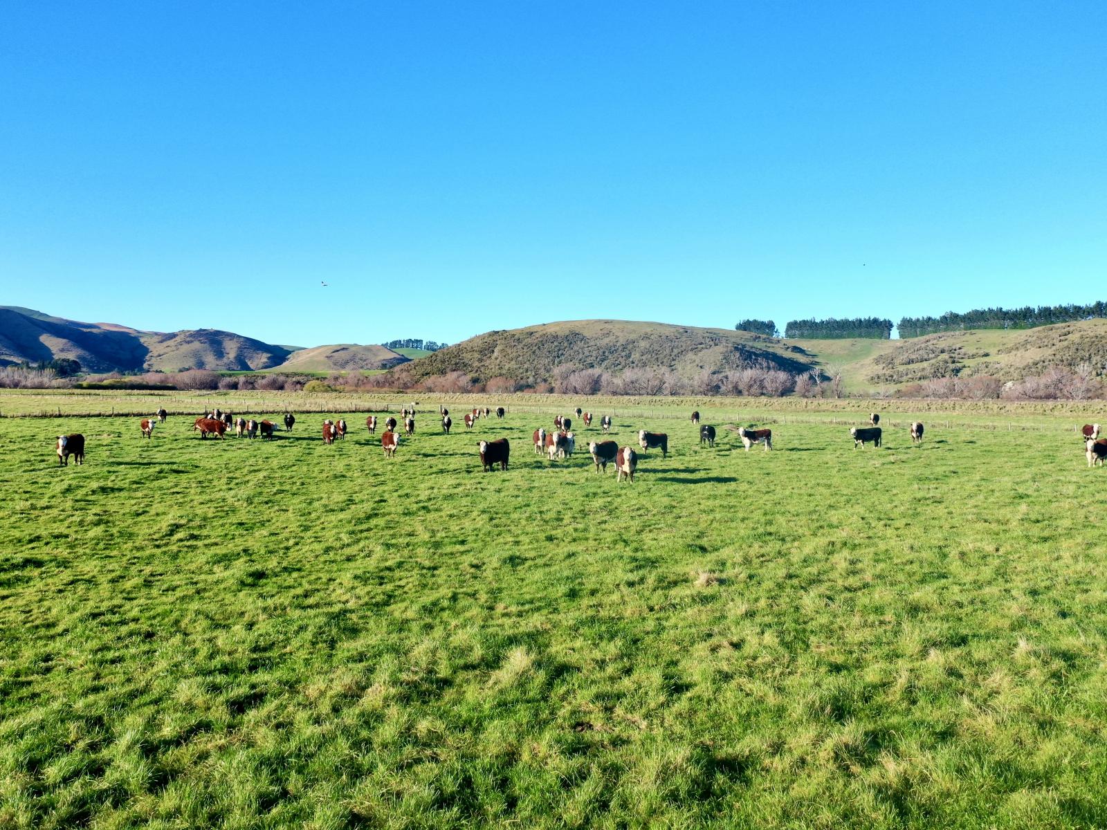 840 Ardlussa Cattleflat Road, Ardlussa