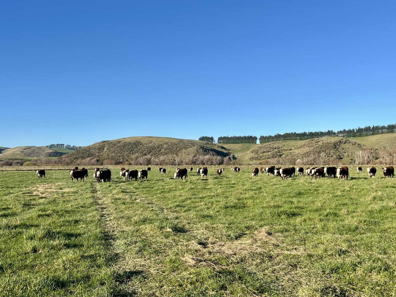 840 Ardlussa Cattleflat Road, Ardlussa