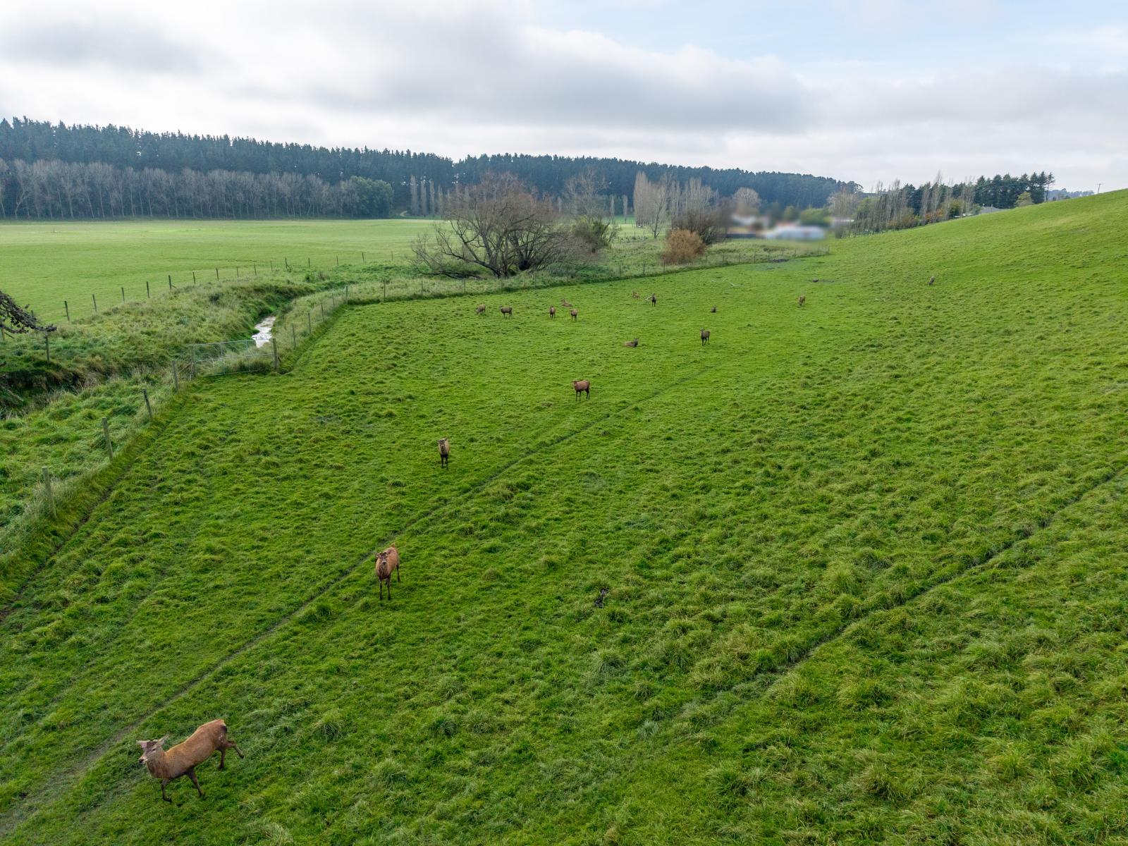 574 Rosewill Valley Road, Levels Valley
