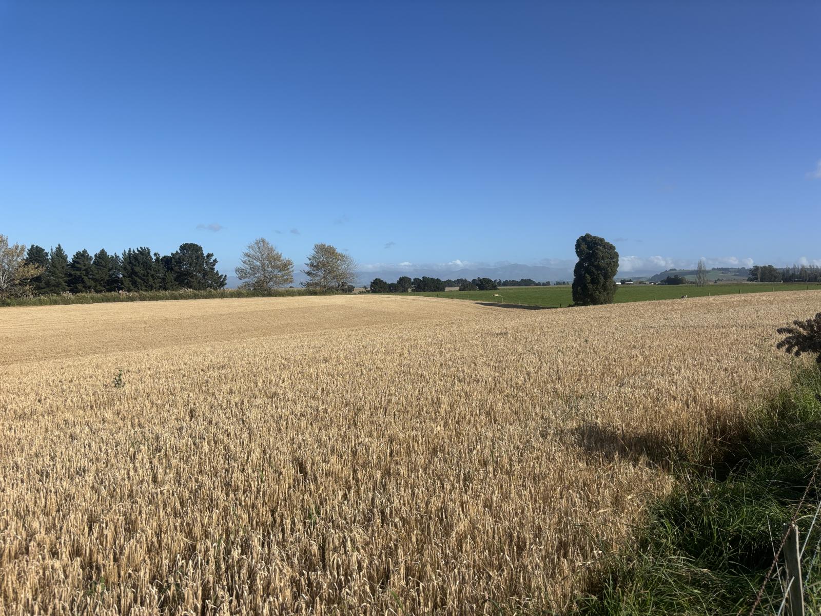 1, Adair Road, Fairview