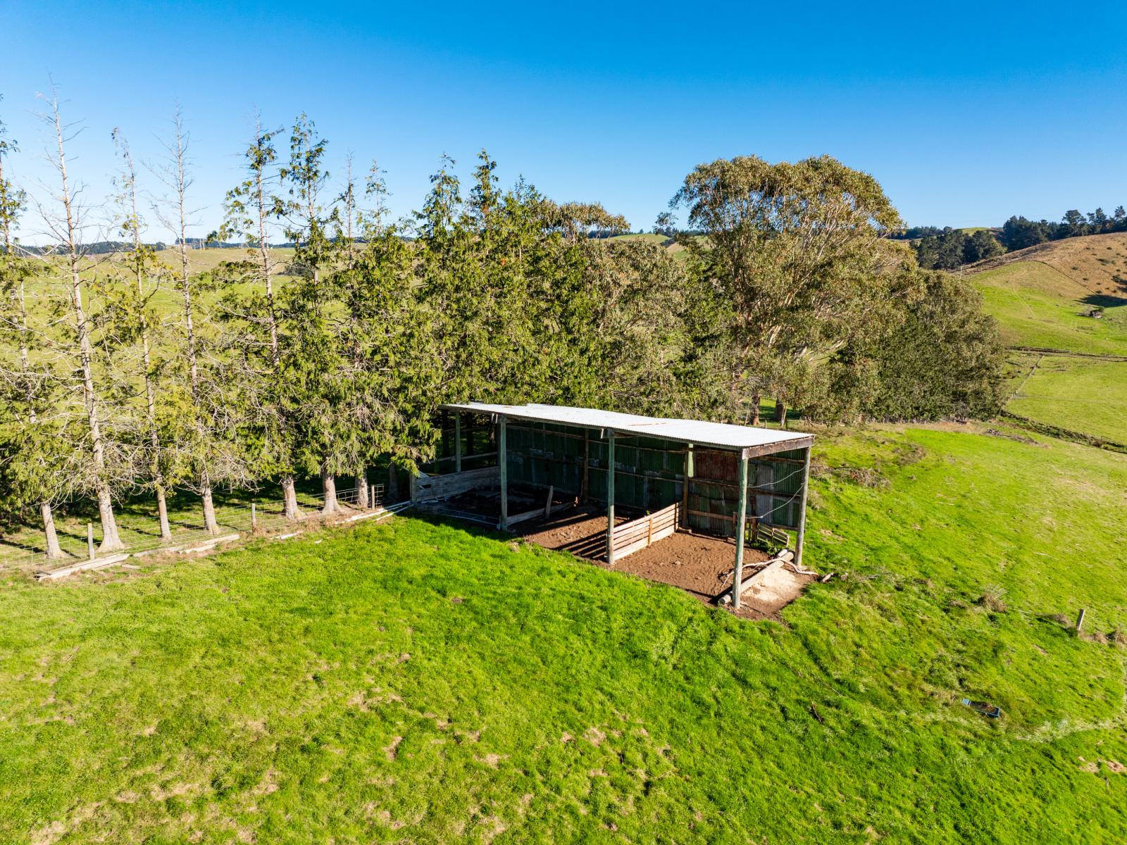 939 Berwick Road, Berwick Forest