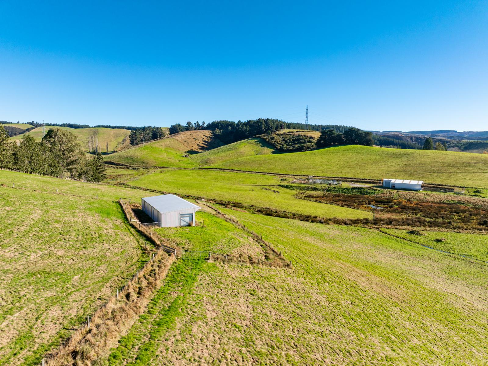 939 Berwick Road, Berwick Forest
