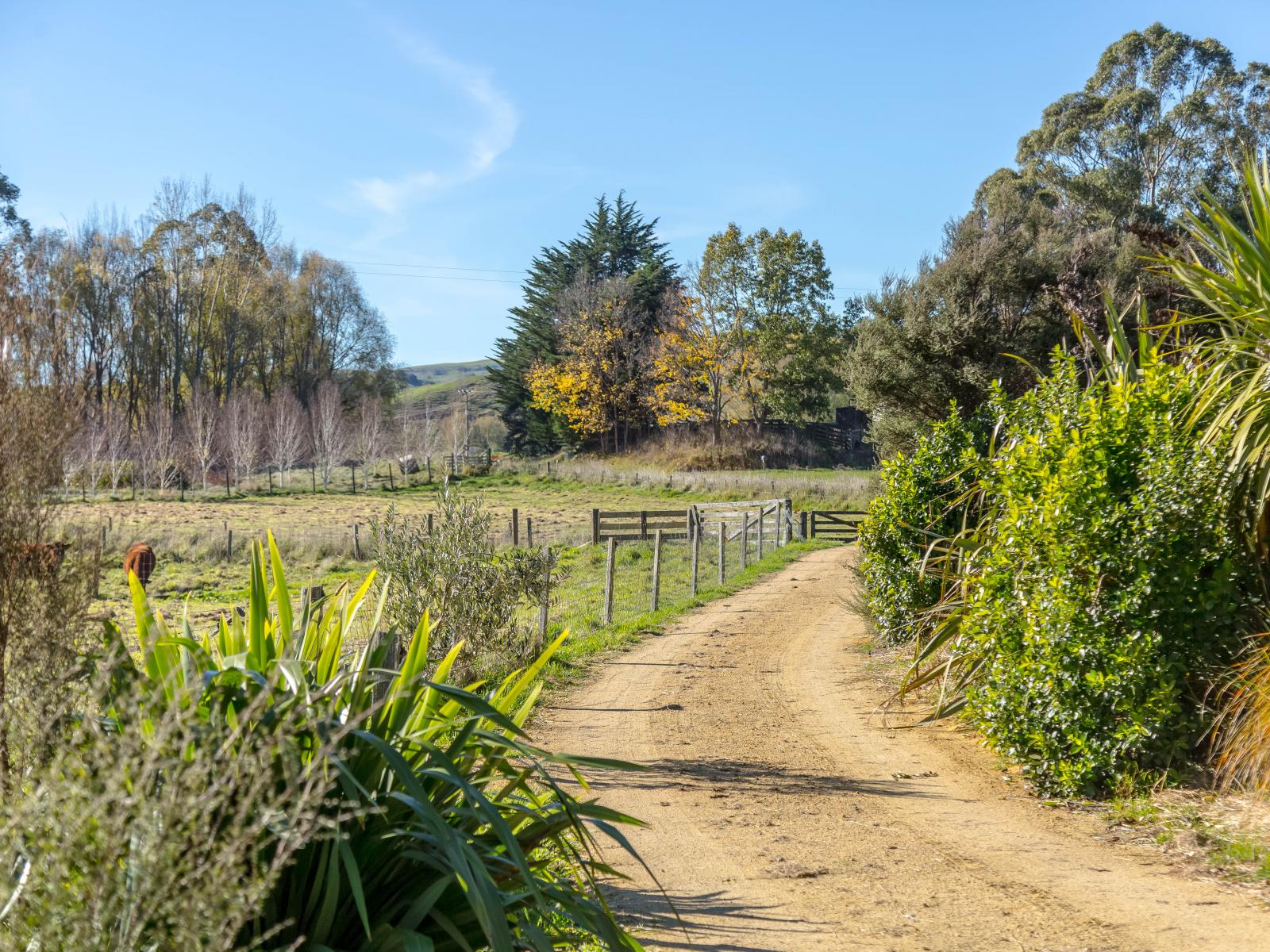 1017A Longbush Road, Gladstone