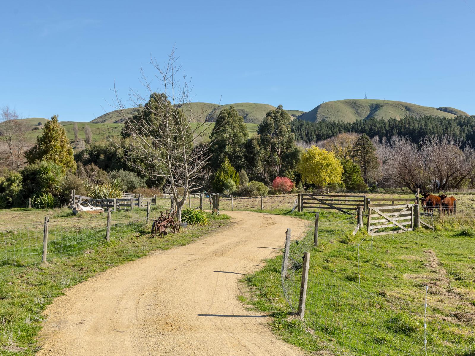 1017A Longbush Road, Gladstone