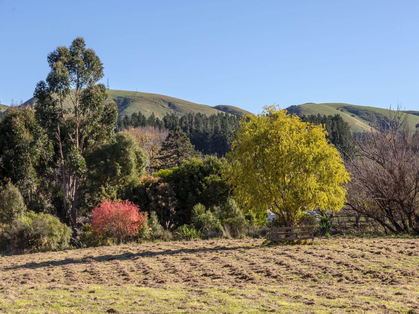 1017B Longbush Road, Gladstone