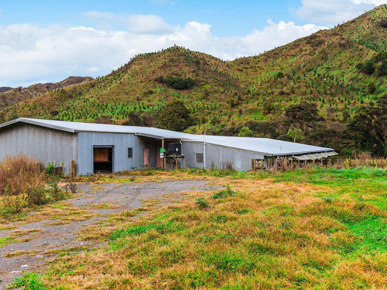 Taumarunui