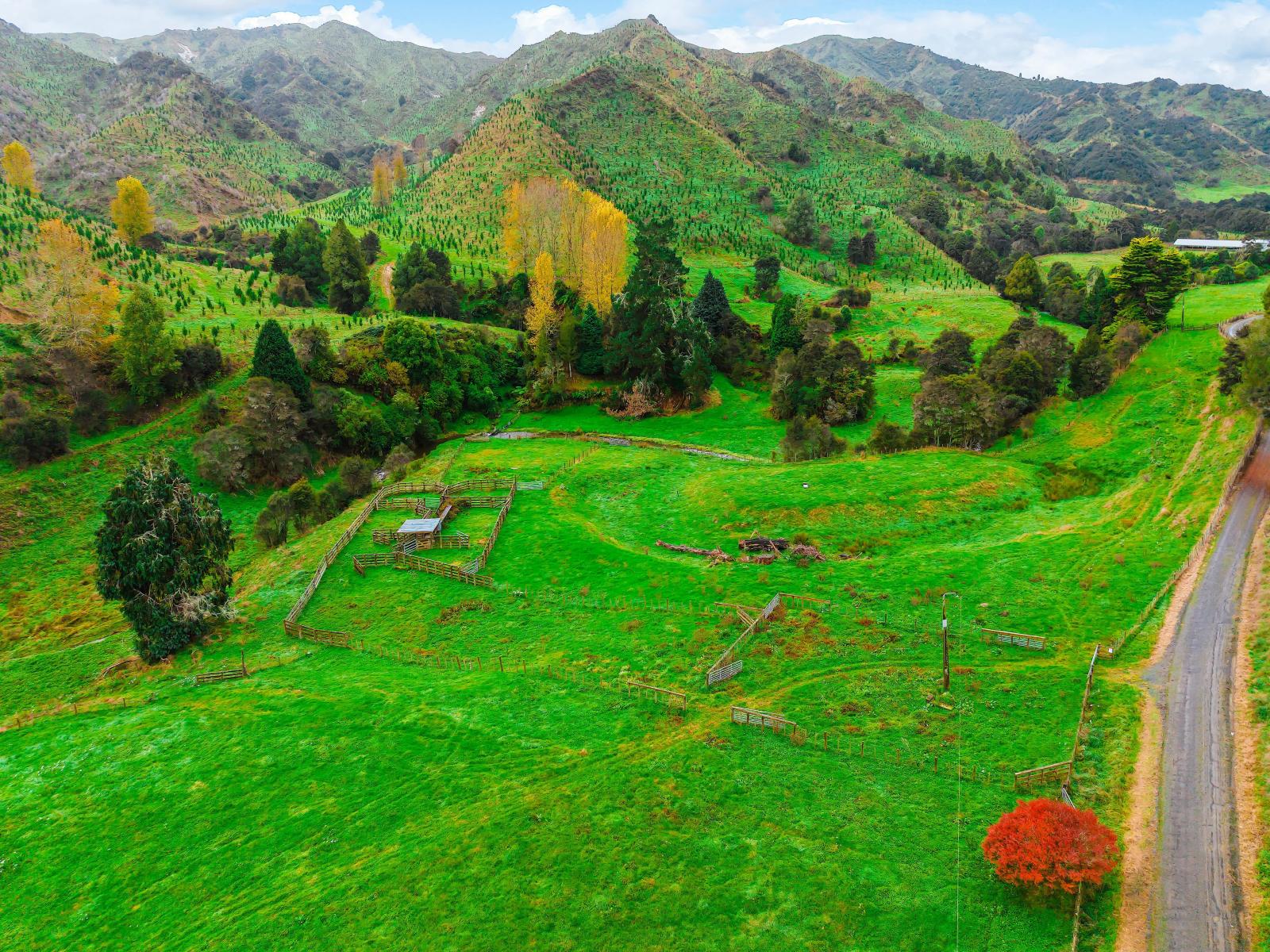 Taumarunui