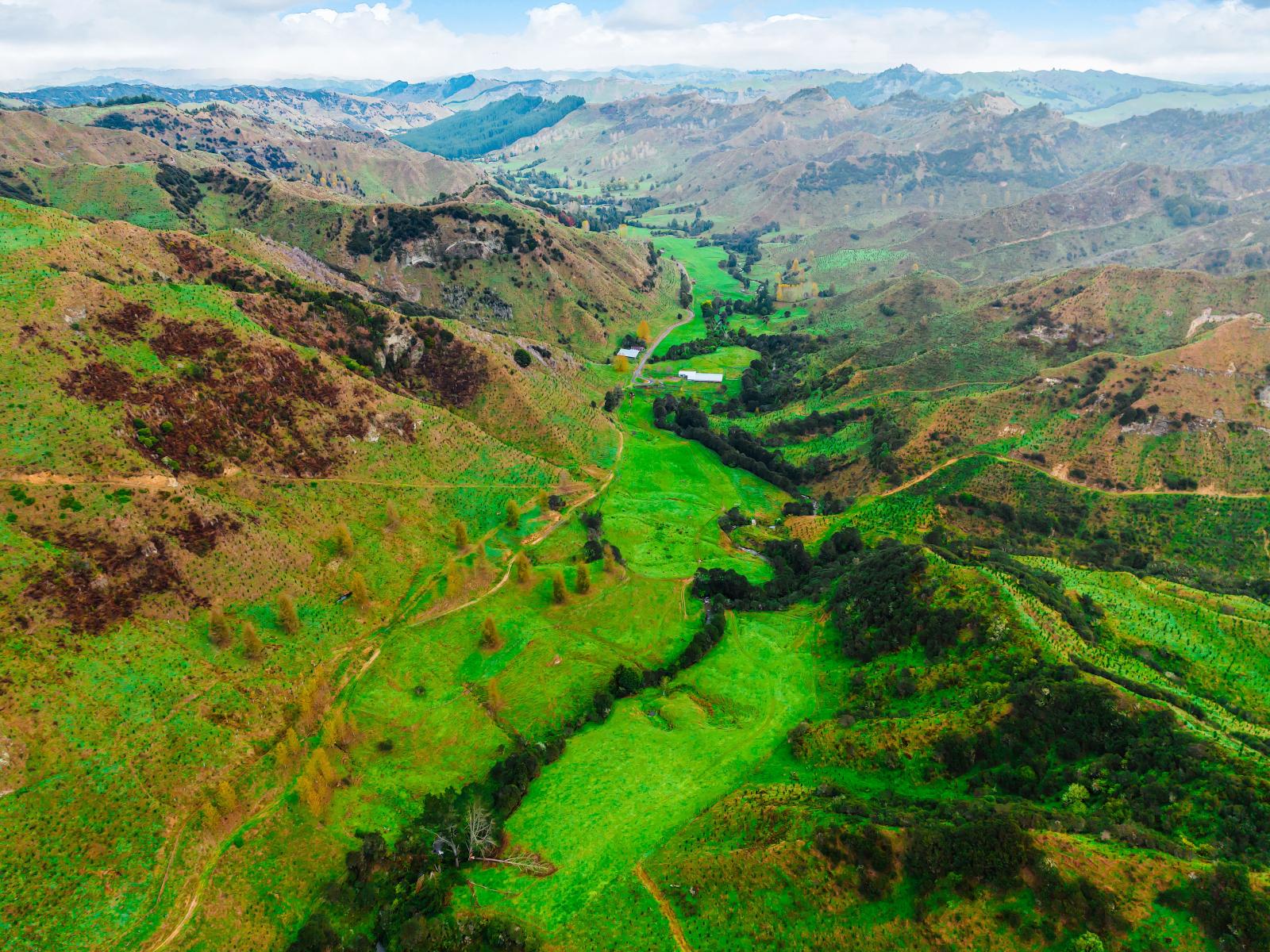Taumarunui
