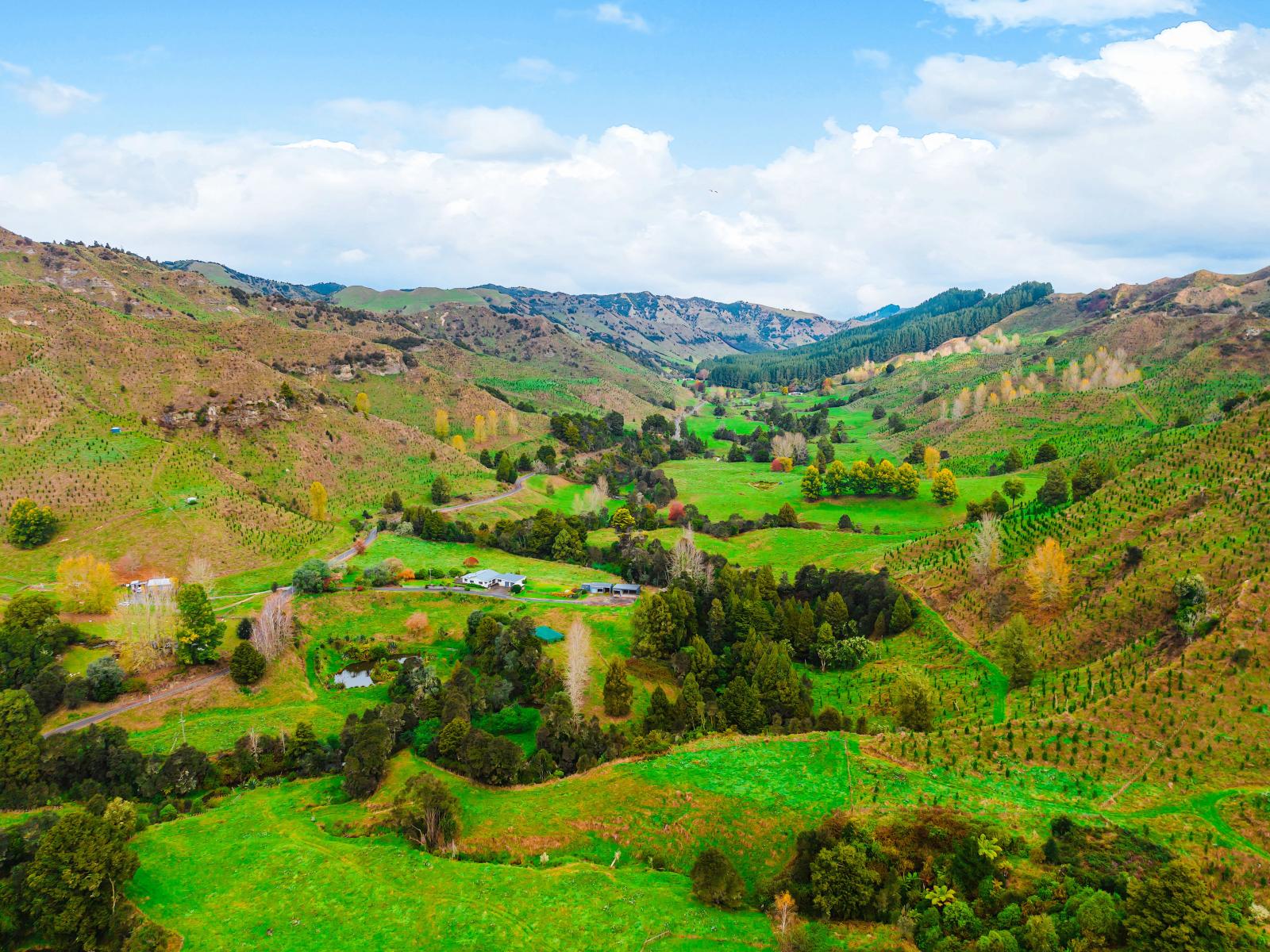 Taumarunui