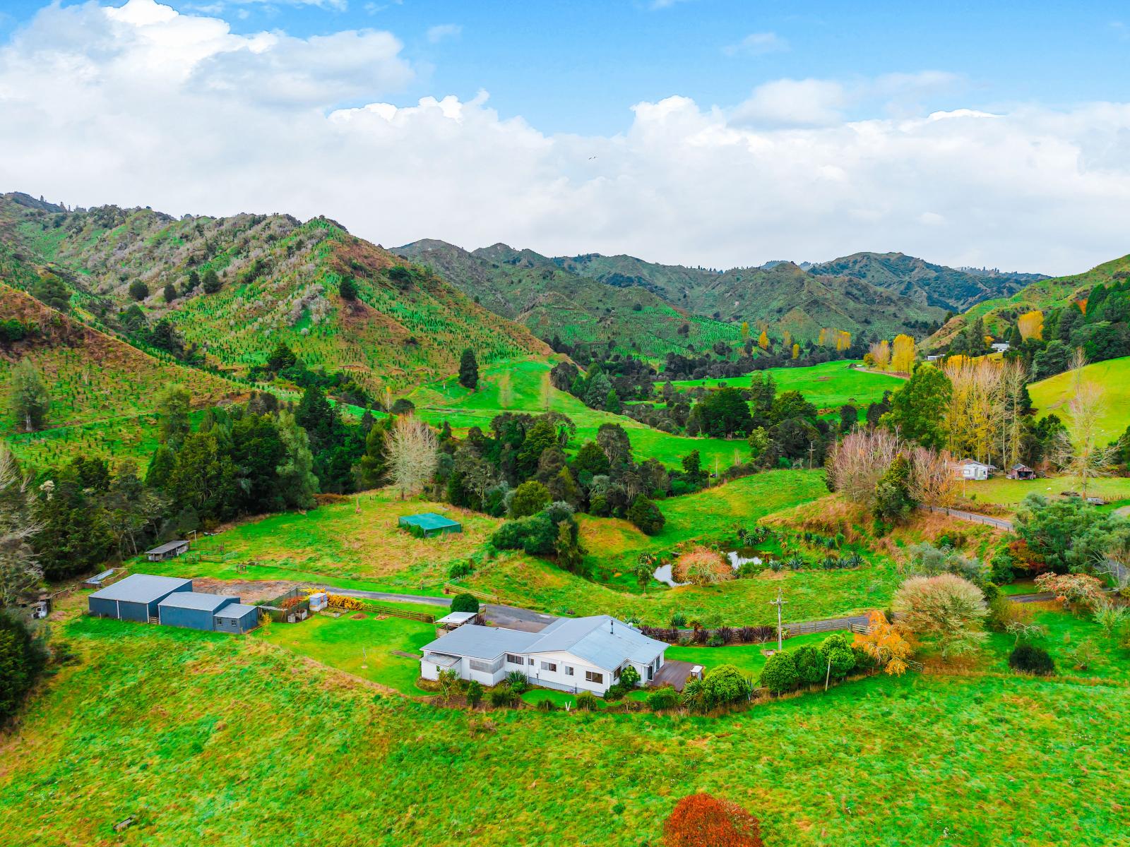 Taumarunui