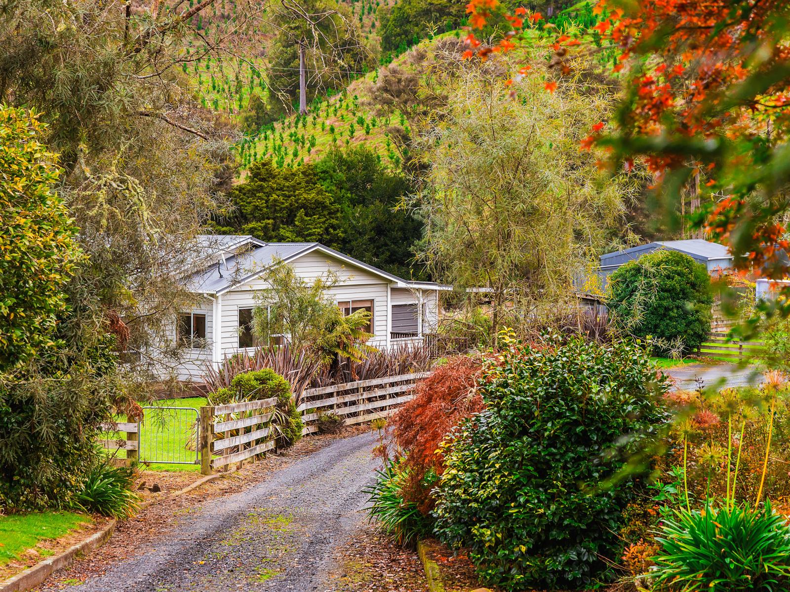 Taumarunui