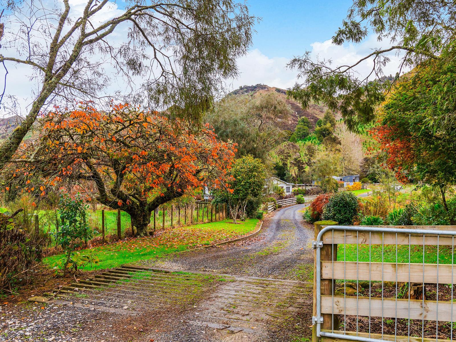 Taumarunui