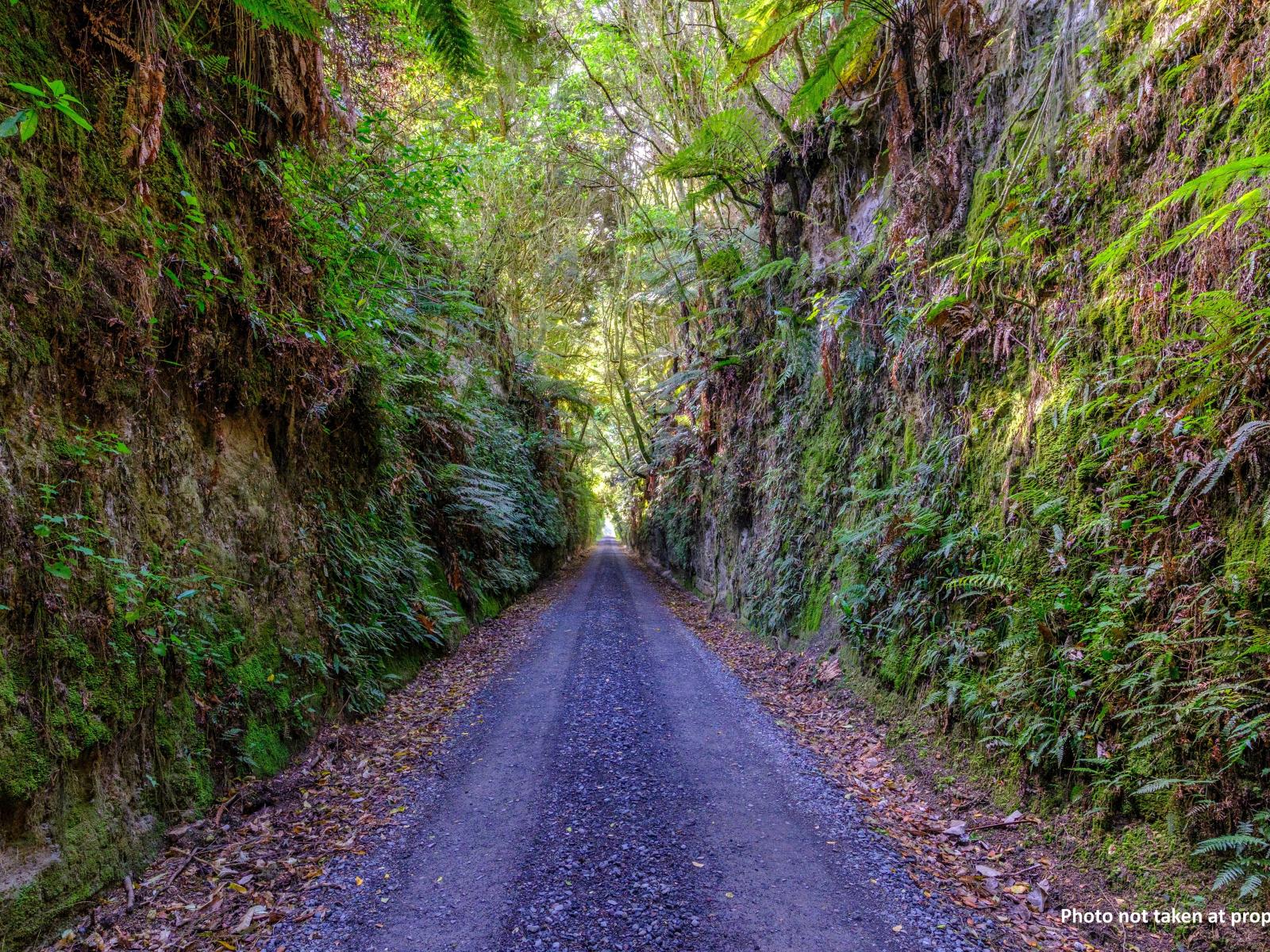 22 Whakaraparapa Road, Kakahi, Owhango